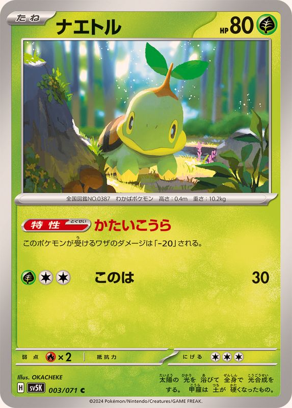 Pokemon Turtwig C 003/071 sv5k Wild Force