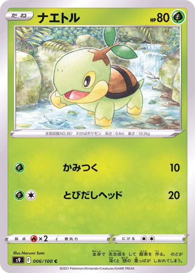 Pokemon Turtwig C 006/100 s9 Star Birth