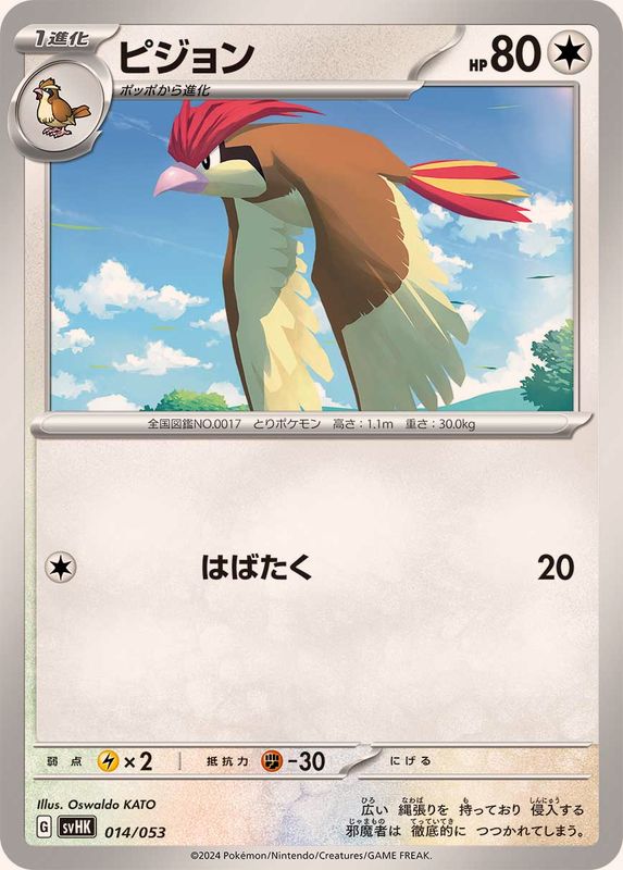 Pokemon Pidgeotto - 014/053 svhk Ancient Koraidon Ex