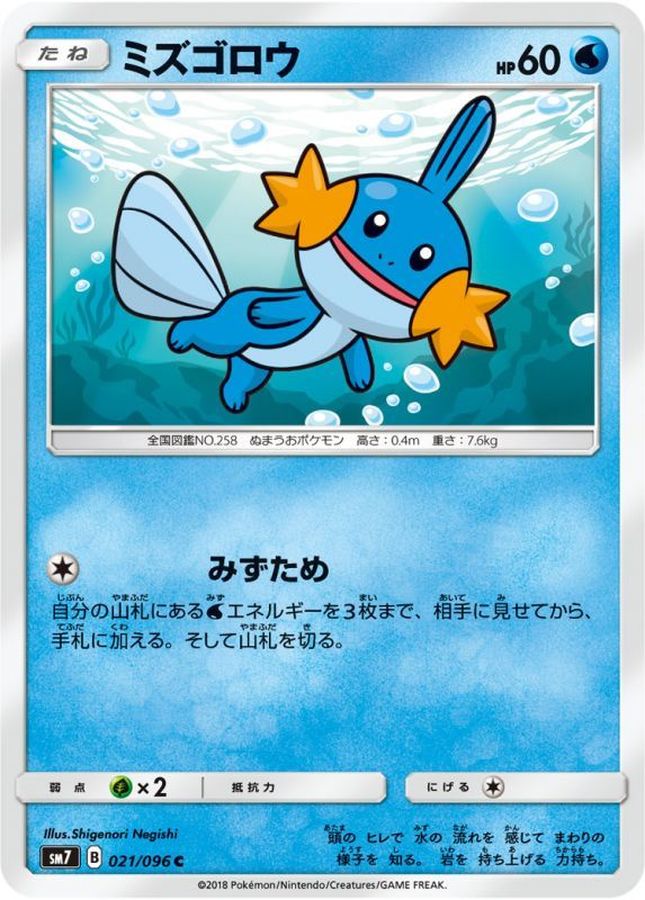 Mudkip C 021/096 SM7