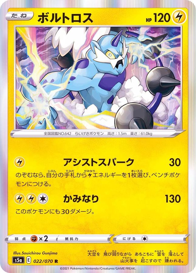 Pokemon Thundurus R 022/070 s5a Matchless Fighter