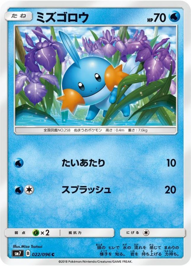 Mudkip C 022/096 SM7