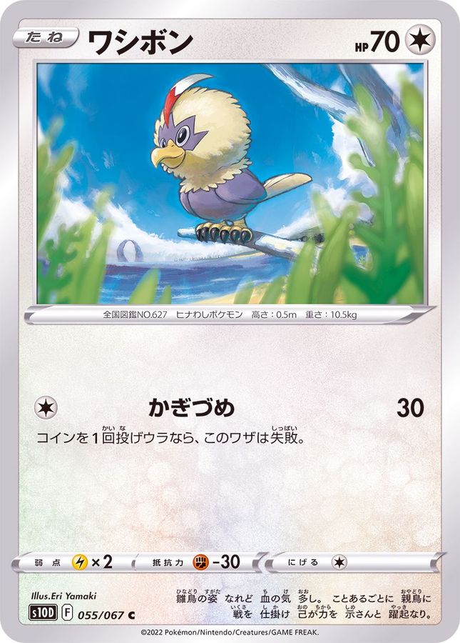 Pokemon Rufflet C 055/067 s10d Time Gazer