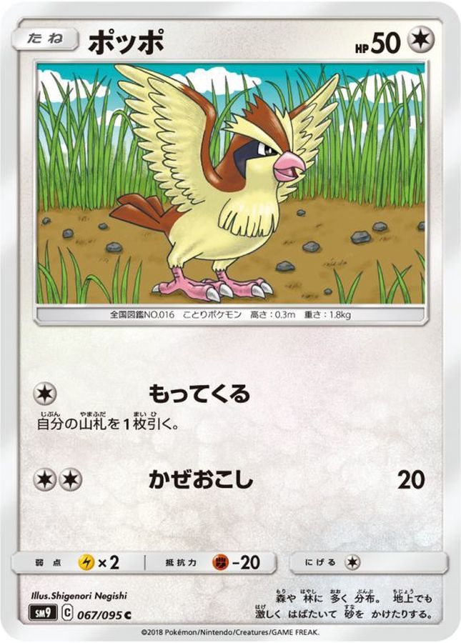 Pokemon Pidgey C 067/095 sm9 Tag Bolt
