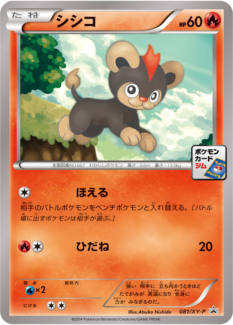 Litten P 081/XY-P PROMO