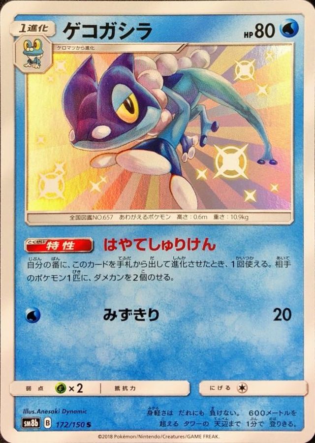 Frogadier S 172/150 SM8B