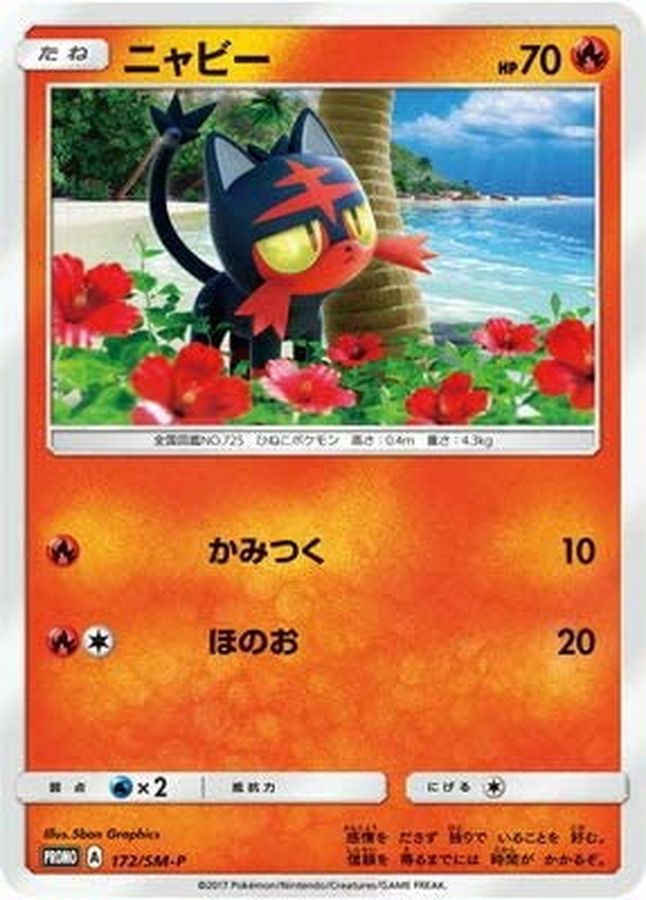 Litten P 172/SM-P PROMO