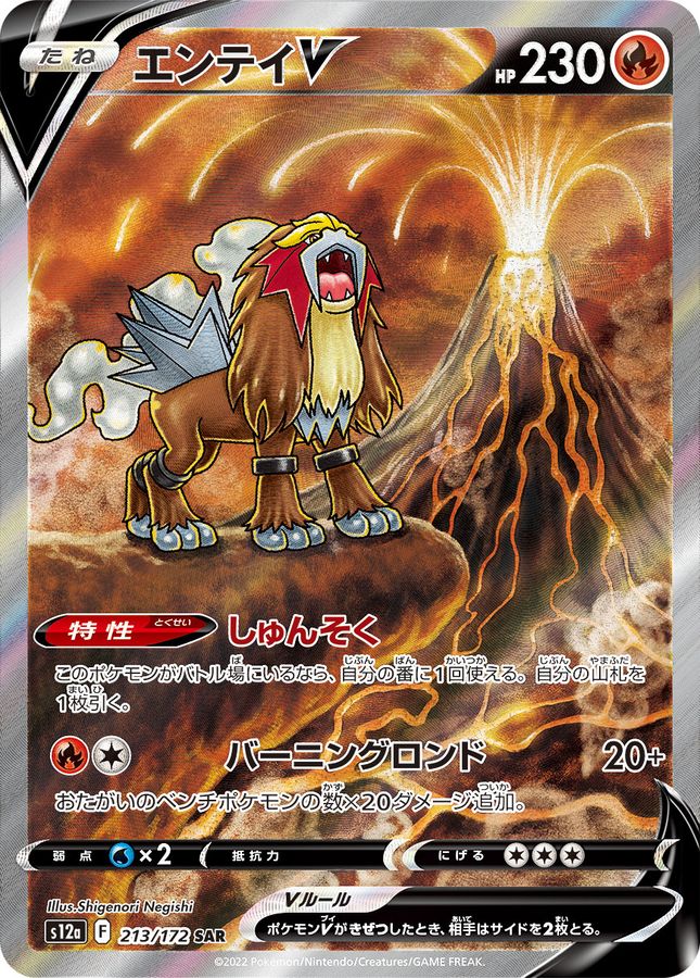 Pokemon Entei V SAR 213/172 s12a Vstar Universe