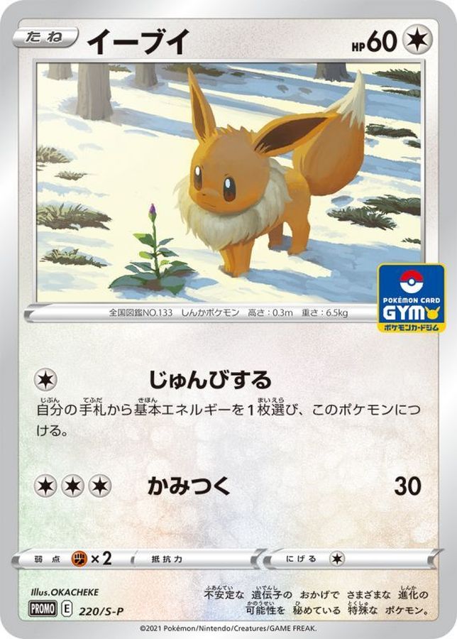 Pokemon Eevee P 220/S-P promo Promo