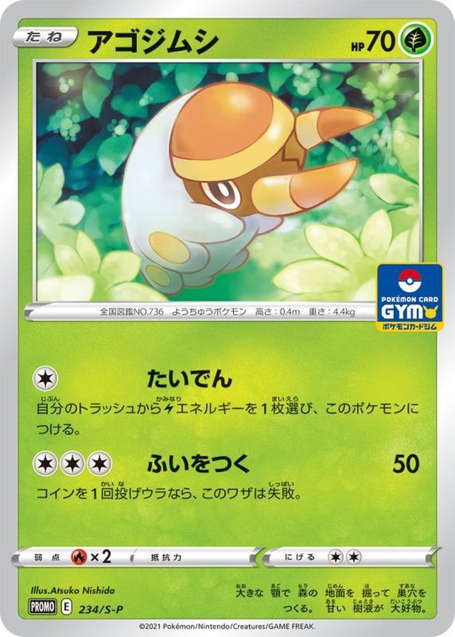 Pokemon Grubbin P 234/S-P promo Promo