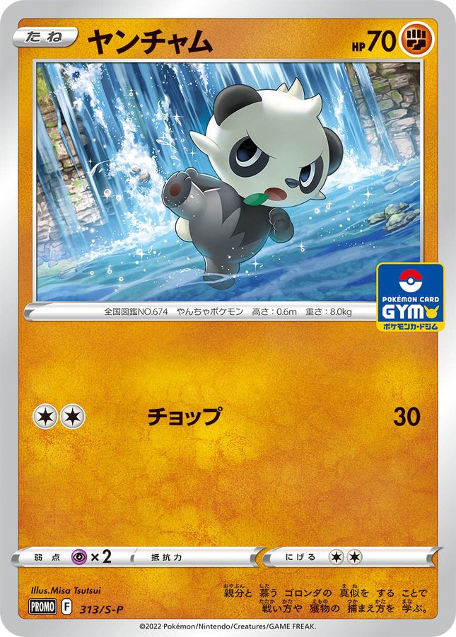 Pancham P 313/S-P PROMO