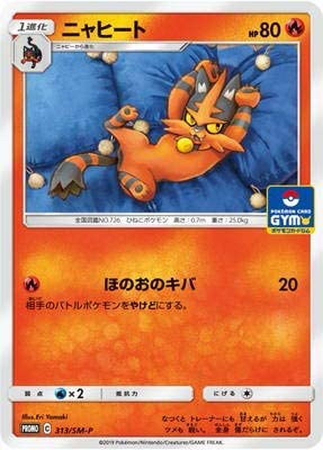 Pokemon Torracat P 313/SM-P promo Promo