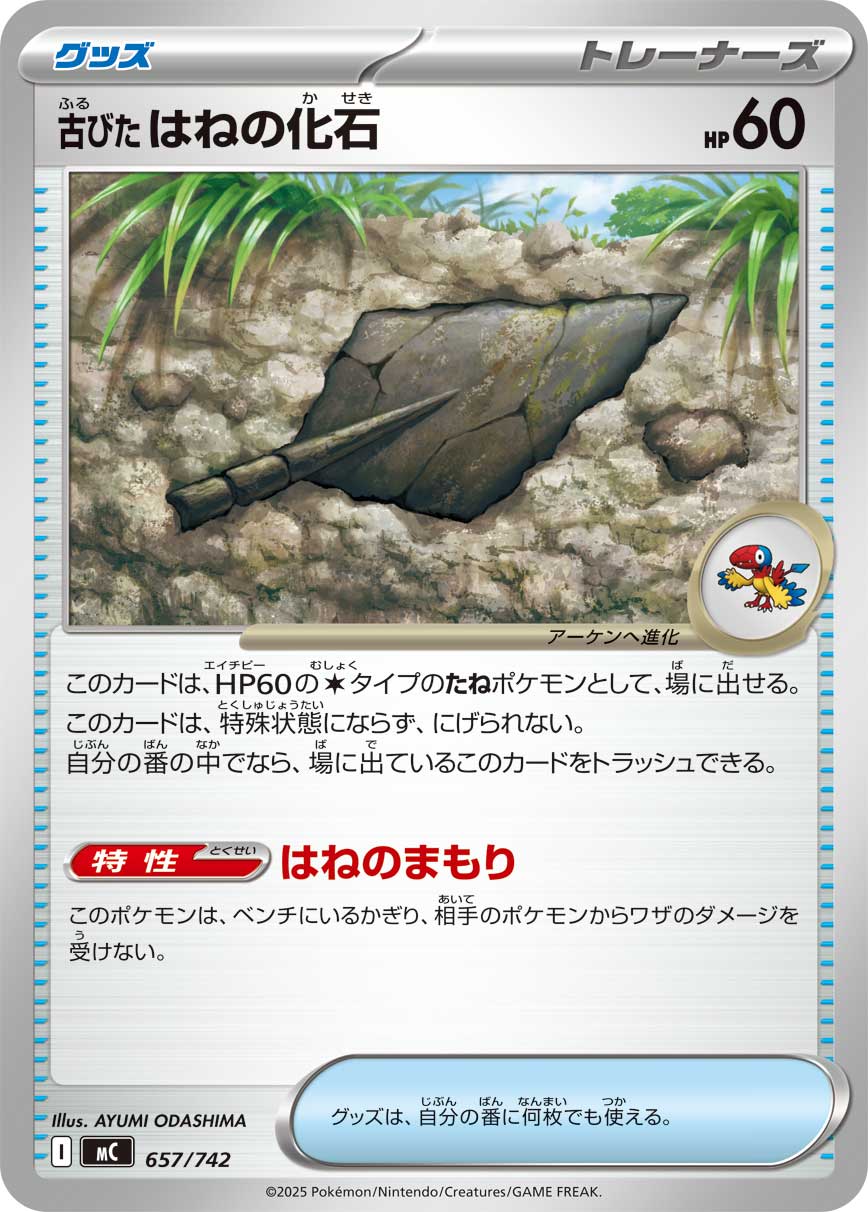 Antique Plume Fossil  657/742 MC