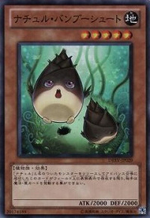 Yugioh DREV-JP029 Naturia Bamboo Shoot | Super