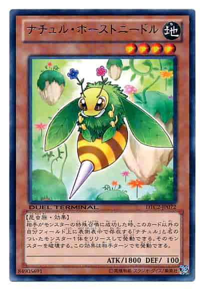 Yugioh DTC2-JP072 Naturia Horneedle | Rare
