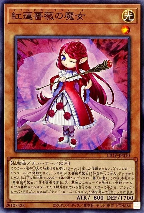 Yugioh LIOV-JP010 Ruddy Rose Witch | Normal