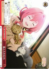 Weiss Schwarz AMG/W121-070 Playing with Cats CR Tying the Knot with an Amagami Sister