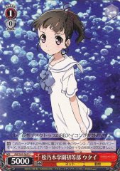 Weiss Schwarz AW/S43-065 Utai Matsunoki Elementary U Accel World