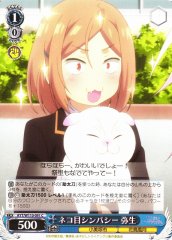 Weiss Schwarz AYT/W110-091 Yayoi Carnivora Sympathy C Ayakashi Triangle