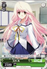 Weiss Schwarz DC/W01-04T Akane Hanasaki C Da Capo & Dal Segno
