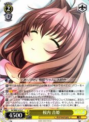 Weiss Schwarz DC/W81-013 Otome Sakurai C Da Capo & Dal Segno