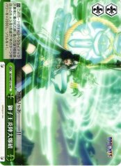 Weiss Schwarz DD/WE12-14 Lion King Explosion C DOG DAYS