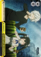 Weiss Schwarz DDM/S88-T08 Hestia Familia TD Is It Wrong to Try to Pick Up Girls in a Dungeon?