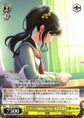 Weiss Schwarz DJ/S97-023 Marika Mizushima Find Hidden Peta1 C D4DJ