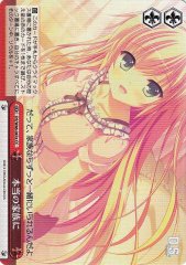 Weiss Schwarz DS/W46-047A Becoming True Family CC Da Capo & Dal Segno