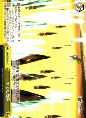 Weiss Schwarz FGO/S75-021 Trouble That I Produced CC Fate/Grand Order