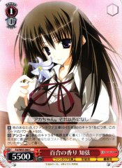 Weiss Schwarz FSI/W65-066 Chizuru Scent of Lilies C Fujimi Fantasia Bunko