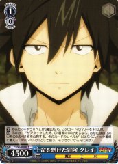 Weiss Schwarz FT/S120-080 Gray Life Risking Adventure R FAIRY TAIL