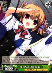 Weiss Schwarz GRI/S84-042 Makina Unchanging Determination R The Fruit of Grisaia