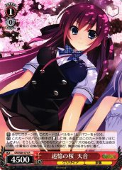 Weiss Schwarz GRI/S84-074 Amane Reminiscent Cherry Blossoms R The Fruit of Grisaia