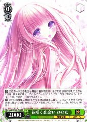 Weiss Schwarz GRK/WS02-T14 Hinata Meeting Under the Cherry Blossoms TD Dengeki Bunko