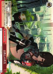 Weiss Schwarz HOL/W91-T019 Coexistence with Nature TD hololive production