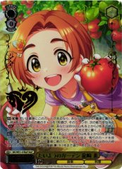 Weiss Schwarz IMC/WE51-07M Kaoru Ryuzaki Garden of the Sun M P P THE IDOLM@STER CINDERELLA GIRLS