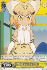 Weiss Schwarz KMN/W51-014 Sand Cat Really Interested U Kemono Friends