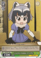 Weiss Schwarz KMN/W51-048 Common Raccoon Can t Be at Ease C Kemono Friends