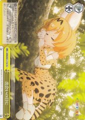 Weiss Schwarz KMN/W51-T10 On the Day They Met TD Kemono Friends