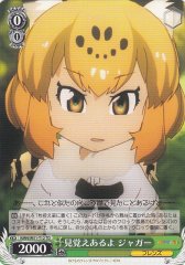 Weiss Schwarz KMN/W51-T12 Jaguar Seen This Before TD Kemono Friends