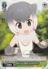 Weiss Schwarz KMN/W51-T15 Small clawed Otter Loves Fun Things TD Kemono Friends
