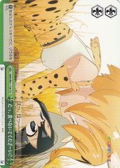 Weiss Schwarz KMN/W51-T20 D Don t Eat Me Please TD Kemono Friends