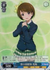 Weiss Schwarz LL/W24-078S Hanayo Rin s Childhood Friend SR Love Live!
