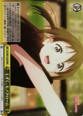 Weiss Schwarz LNJ/W97-029R Shizuku Monochrome RRR Love Live! Nijigasaki High School Idol Club