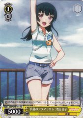 Weiss Schwarz LSS/W45-T04 Manatsu no Aquarium Yoshiko Tsushima TD Love Live! Sunshine!!