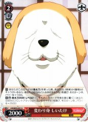 Weiss Schwarz LSS/W53-051 Shiitake Quick to Adapt U Love Live! Sunshine!!