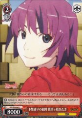 Weiss Schwarz MG/S39-069 Hitagi Senjougahari Expected Development C MONOGATARI Series