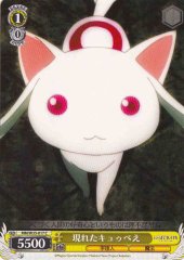 Weiss Schwarz MM/W35-017 Kyubey Appears C Puella Magi Madoka Magica