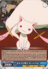 Weiss Schwarz MM/W35-091 Kyubey Going Kyu C Puella Magi Madoka Magica